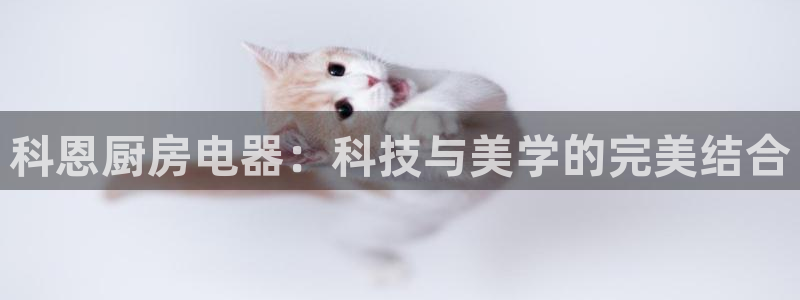 摩登7天7O667
