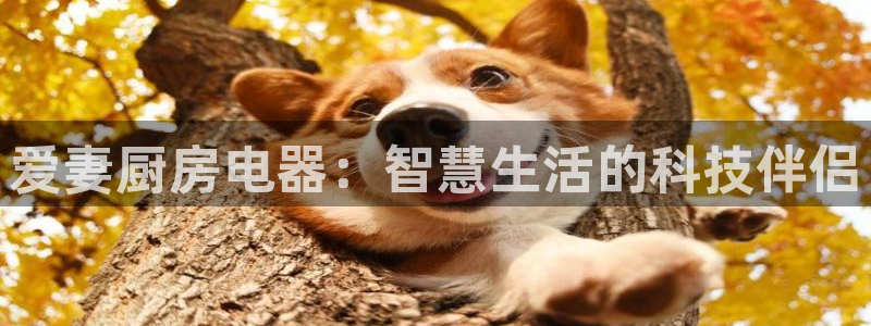 摩登7平台网址下载