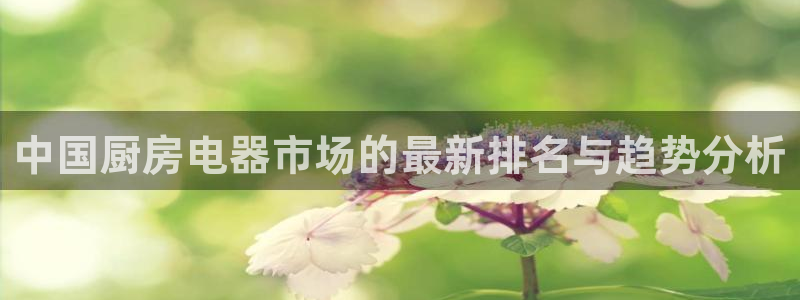摩登7日3299O7