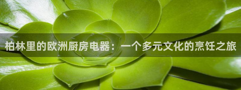 摩登3褚7O667