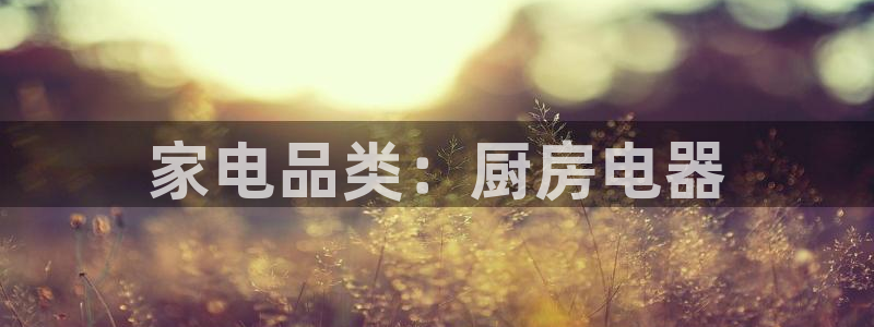 摩登7网站排名