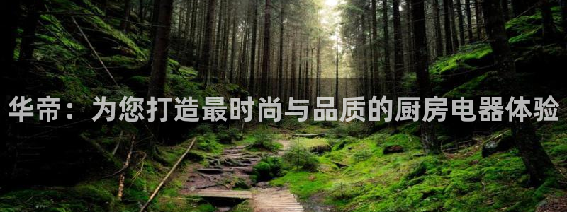 摩登6韩这7O667