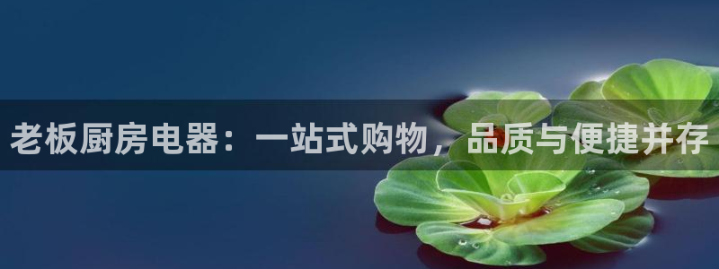 摩登6郑7O667