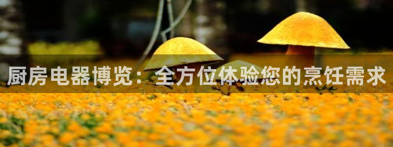 摩登7