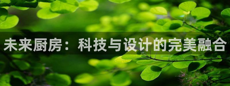 摩登7日7O667