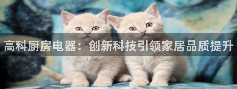 摩登7d2