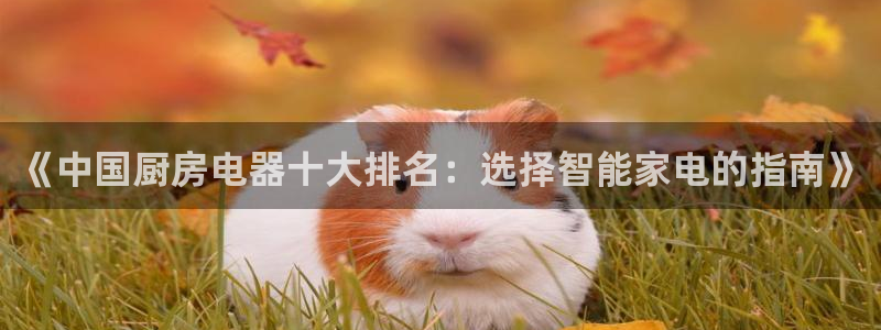 摩登7平台总代理