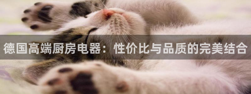 摩登口碑7