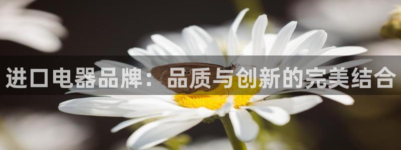 摩登5右7O667
