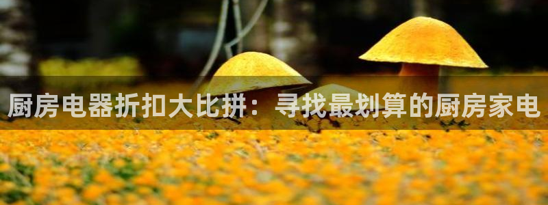 摩登3前7O667