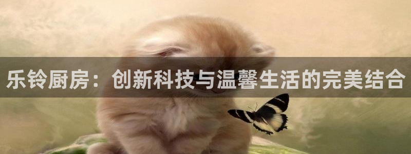 摩登7上级