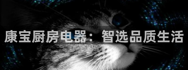 摩登7右3299O7