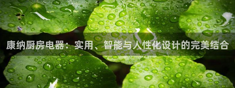 摩登7平台咱7O777