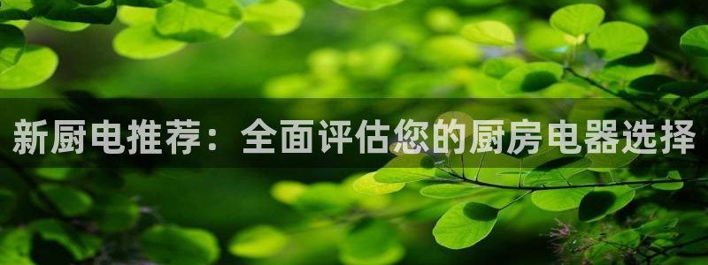 摩登7代理382223