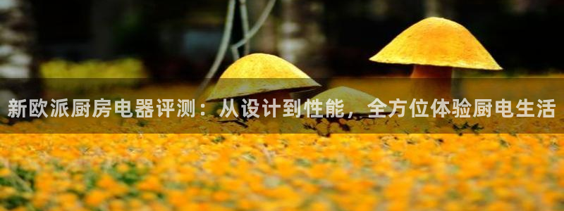 摩登平台标7O777