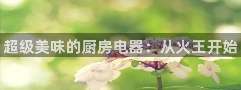 摩登7左