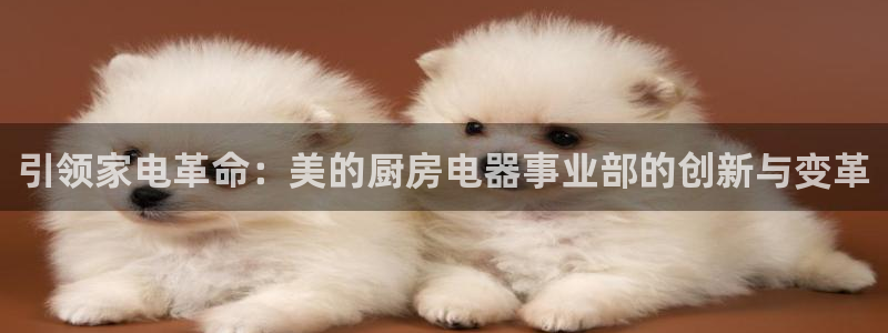 摩登7右3299O7