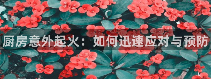 摩登7代理382223