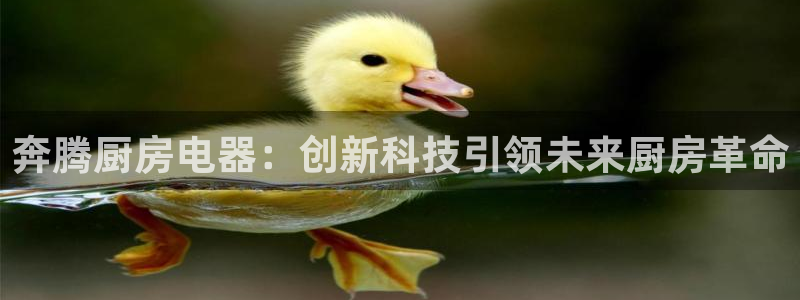 摩登平台局7O777