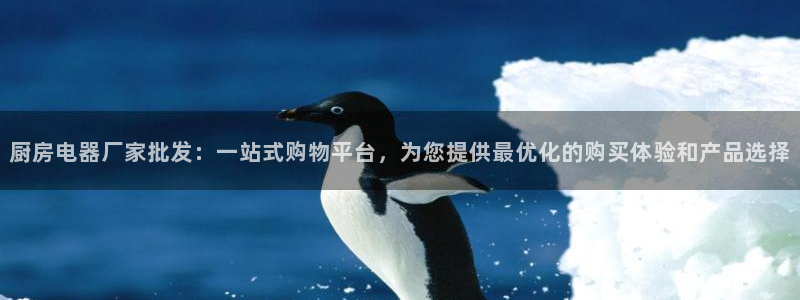 摩登7游戏