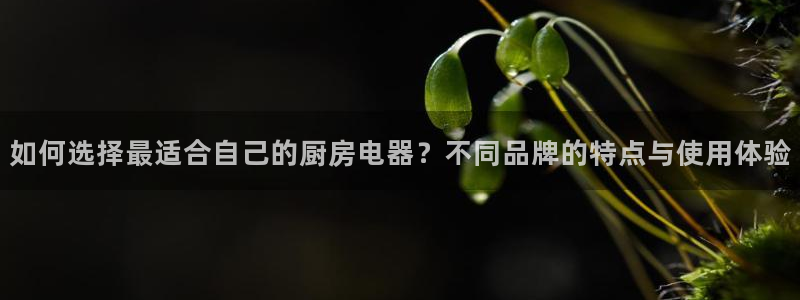 摩登7招商排名