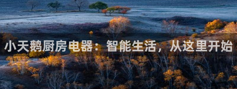 摩登3下7O667