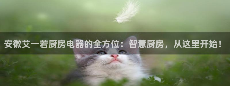 摩登7高管