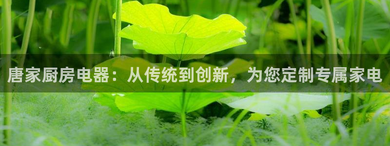 摩登招商7佳22650