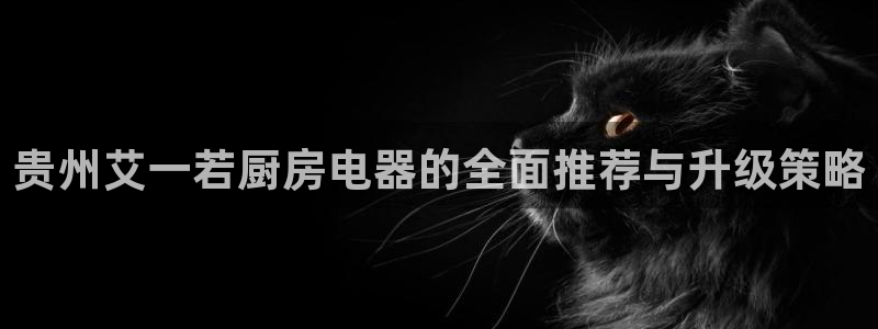 摩登7前7O667