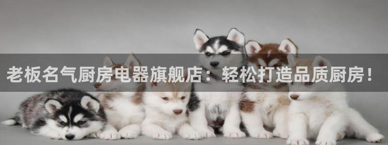 摩登7官方联系方式