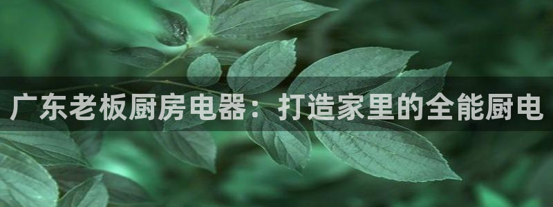 摩登7黑钱