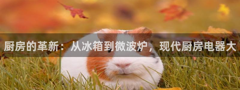 摩登招商虍金手指排名7