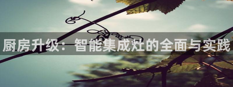 摩登7招商主管