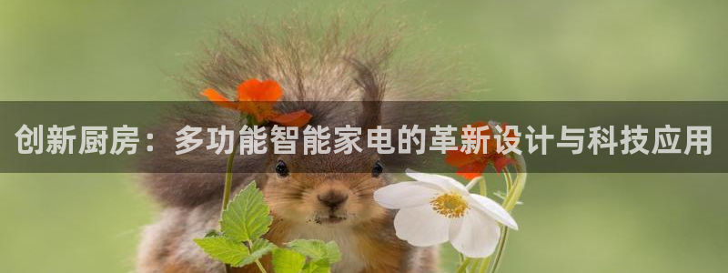 摩登7平台下载