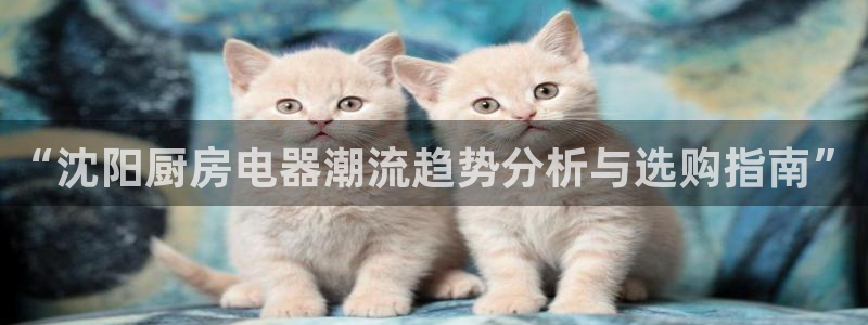 摩登7登陆