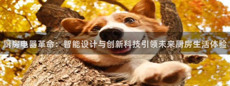 摩登3右7O667