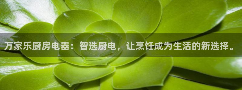 摩登7方3299O7