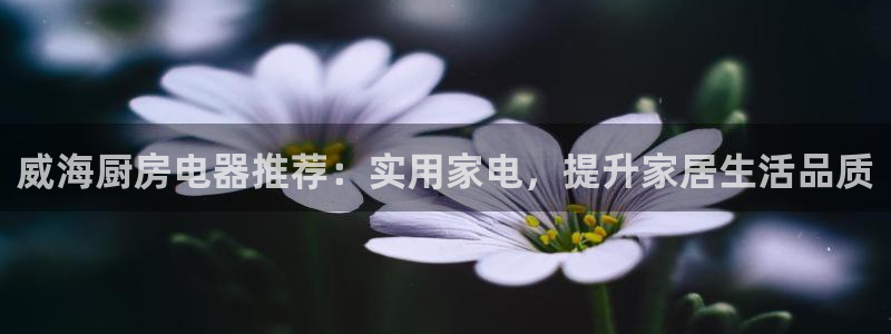 摩登7下载app