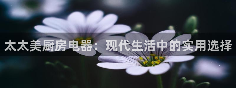 摩登3周这7O667