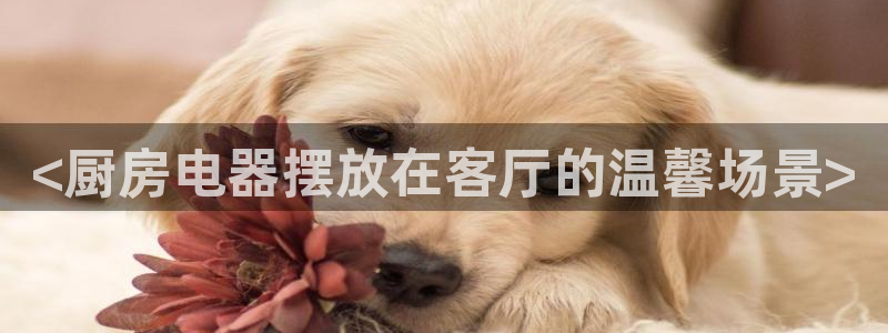 摩登5施7O667