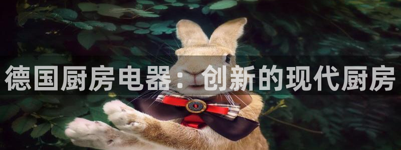 摩登5月7O667