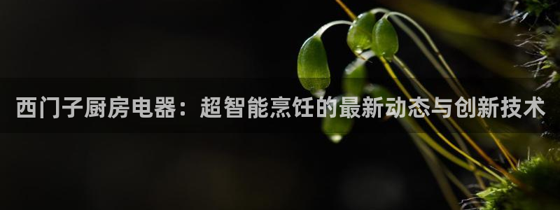 摩登7官方联系方式