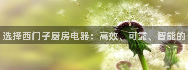 国际版摩登世界7