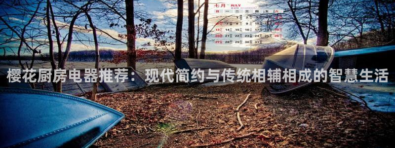 摩登天空7