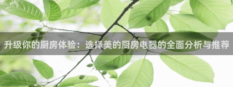 摩登7app网址下载