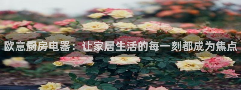 摩登6月7O667