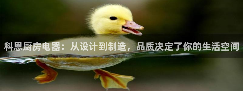 M摩登7