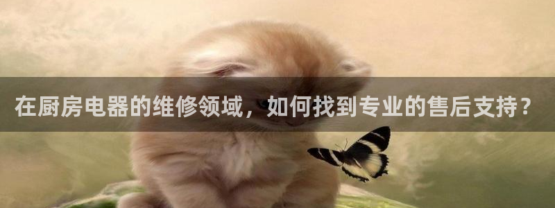 摩登7 1 1