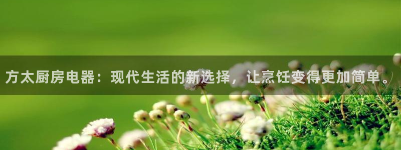 摩登招商臼金手指专业7