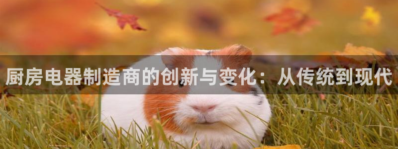 摩登5吕7O667